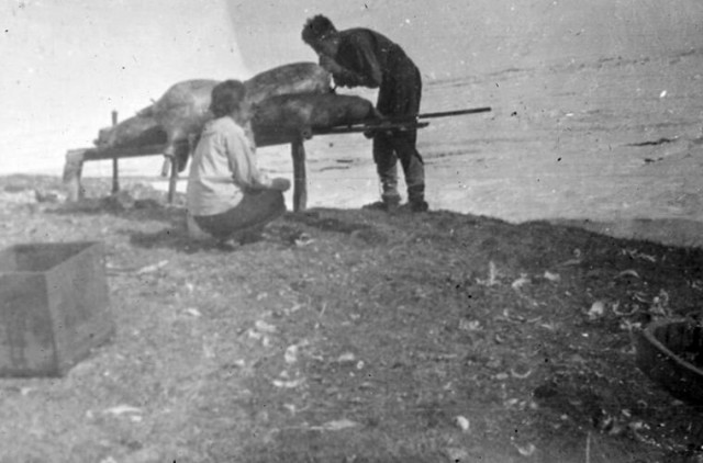 Ада Блэкджек: История женщины, в одиночку выжившей в Арктике