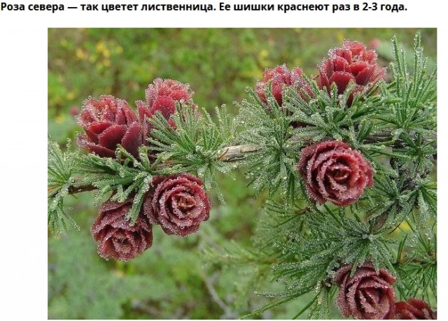 Прикольные и просто красивые картинки 23.12.2022
