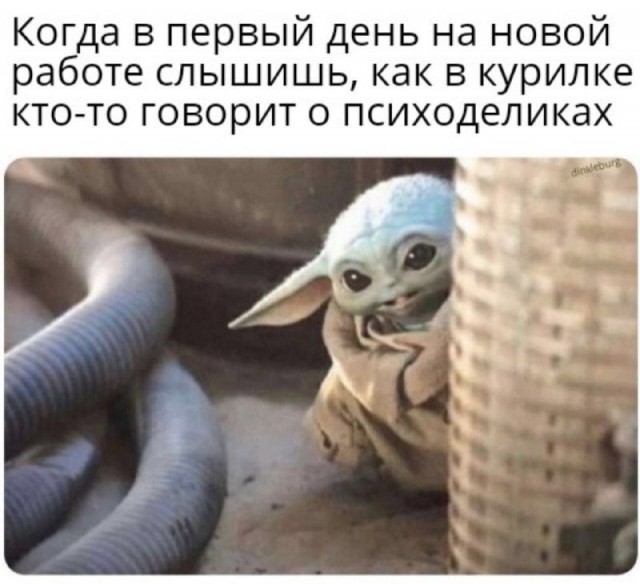 Народная меДИЧина 3017