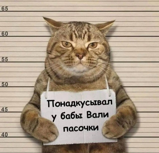 Картинки разной степени баянистости
