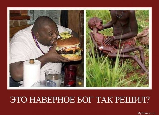 Картинок вам в серые трудовыебудни