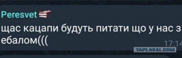 Видео уничтоженных Леопарда и Бредли