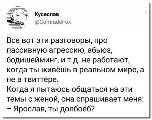 Забавные комментарии из социальных сетей (07.08.23)