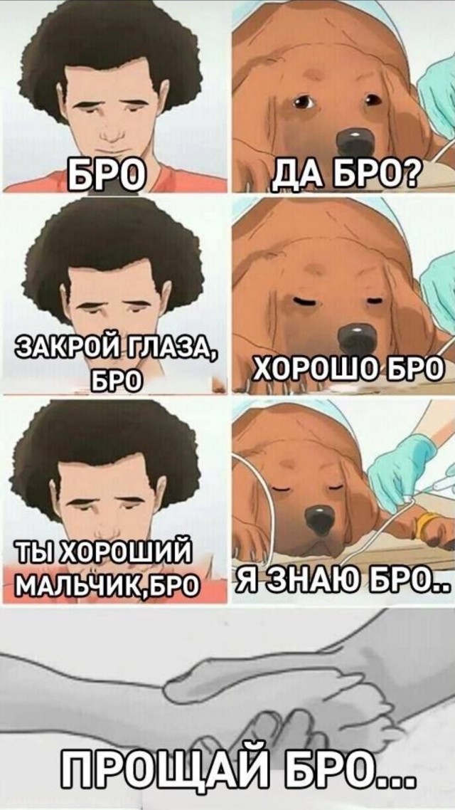 Десятая жизнь