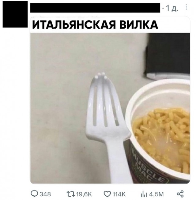 Весёлый полтишок 11.08.23