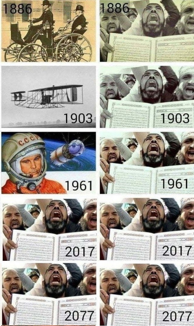 Эволюция без оскорбления⁠⁠