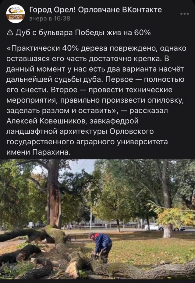 В Орле раскололся дуб, посаженный в честь отмены крепостного права