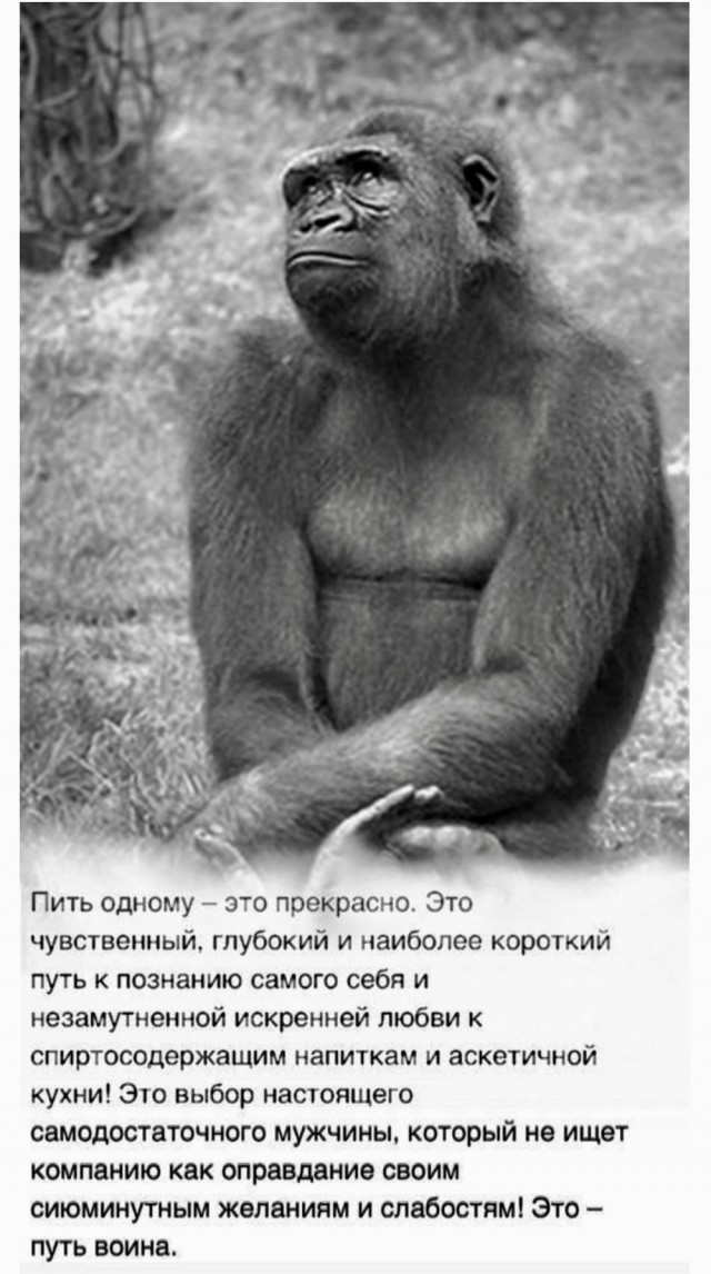 Про водку