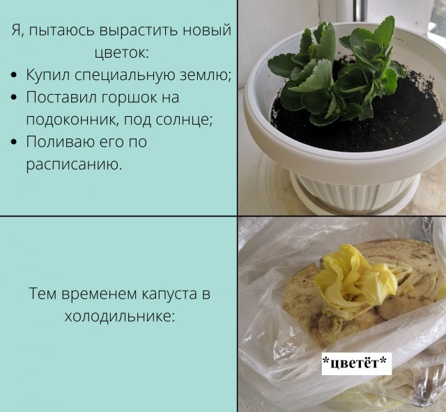 Ну вот. Я бомж