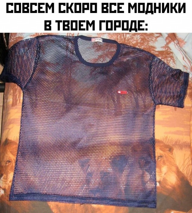 Весёлый полтишок 08.04.24
