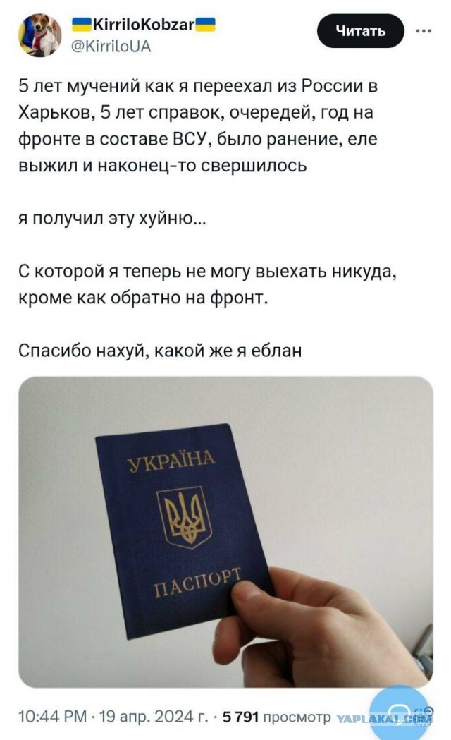 Бунт произошёл в польском учреждении после запрета на выдачу украинских загранпаспортов мужчинам призывного возраста