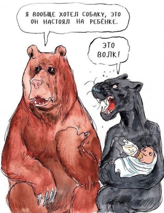 Так себе картинки 19.05.24