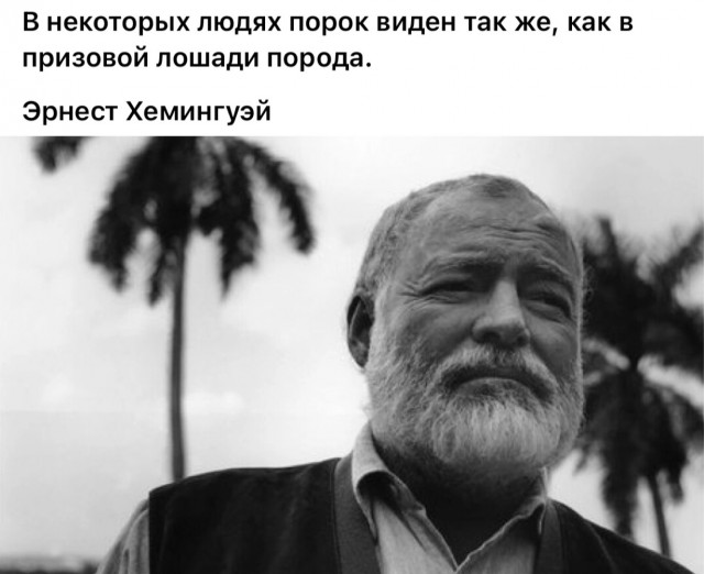 Прикольные и просто красивые картинки 14.06.24