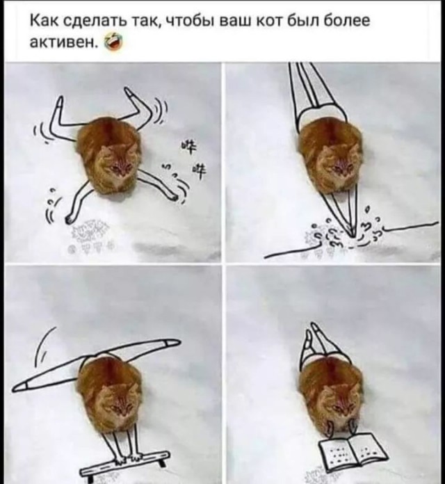 Завалялось тут случайно немного забавных картинок