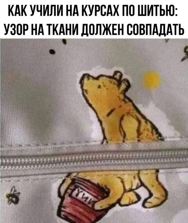 Немного забавных картинок от 11.09.2024