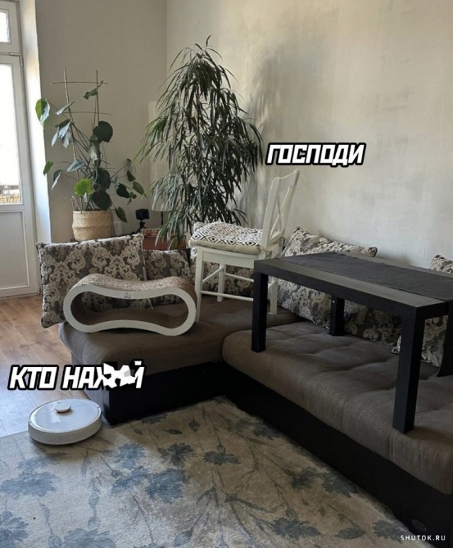 Веселые картинки к пятнице (20.09)
