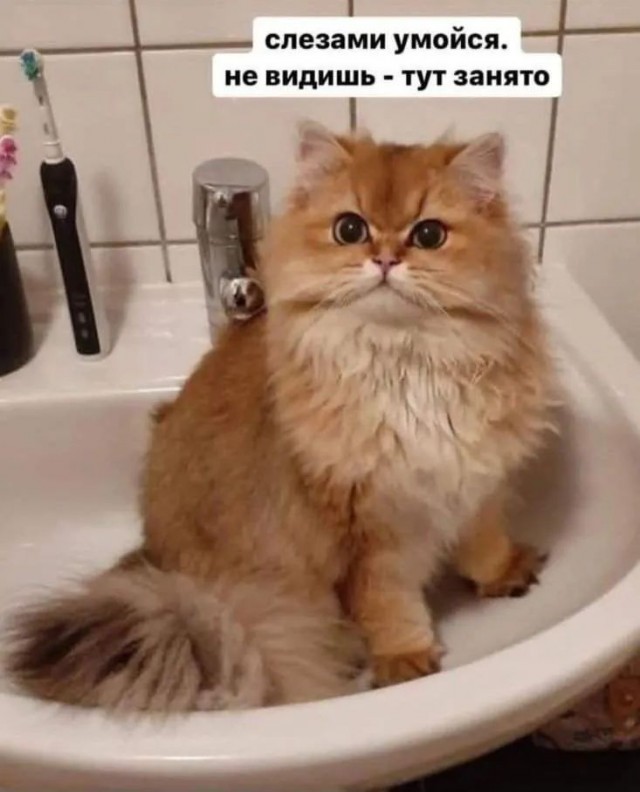 Завалялось тут случайно немного забавных картинок