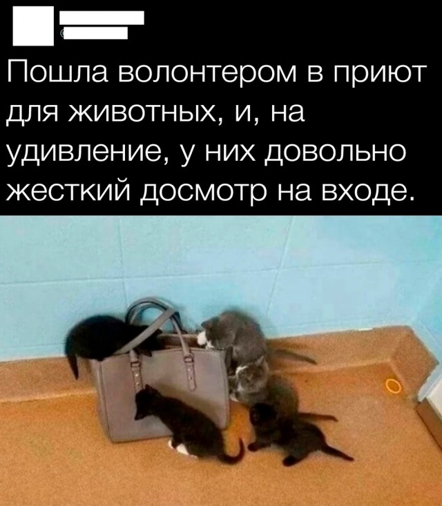 Так себе картинки 29.10.24