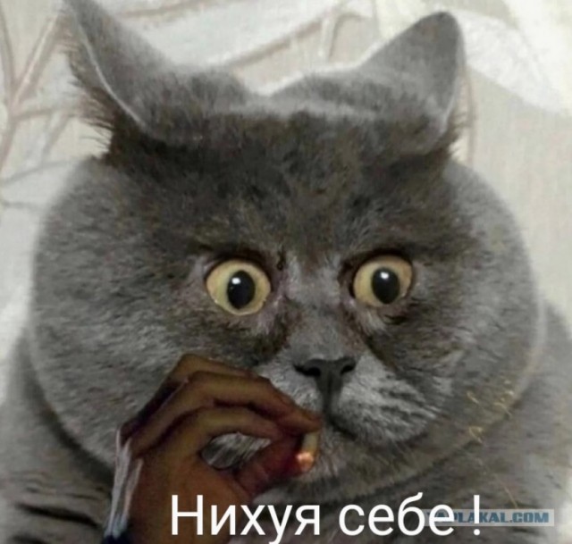 Как думаете - постанова?