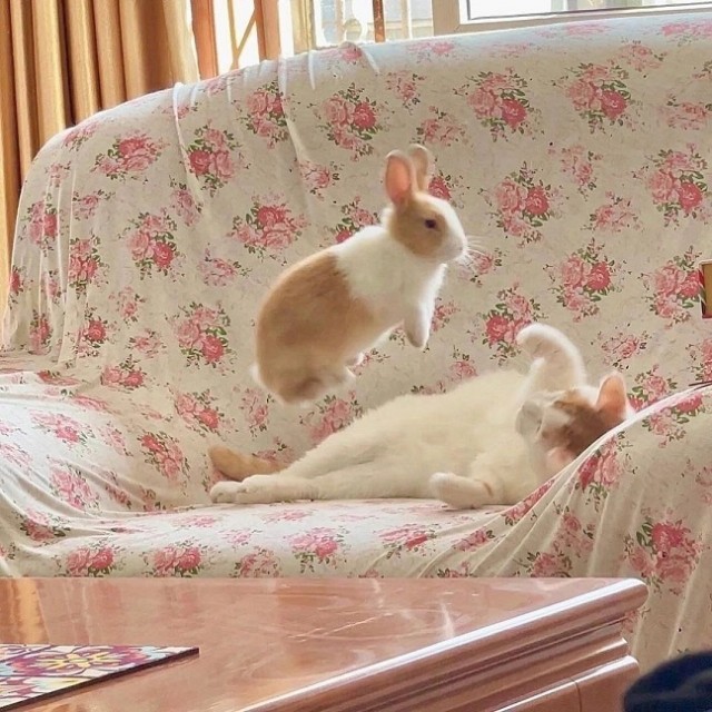 Крепость сдается?