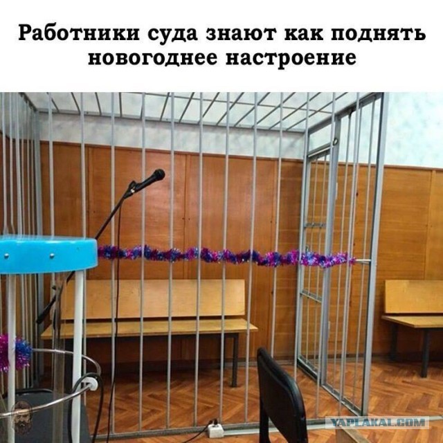 Так себе картинки 21.12.24