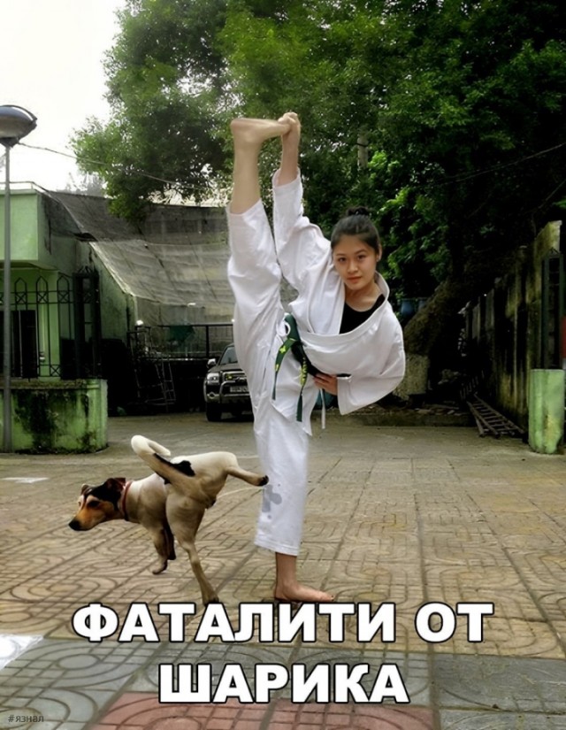 25 картинок от начальника автопарка