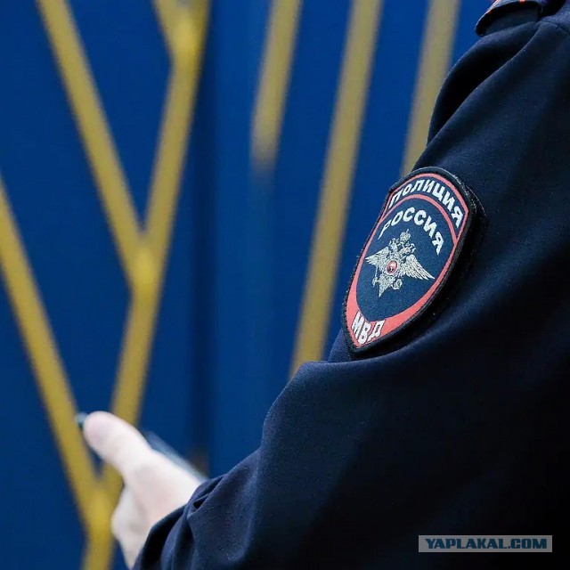 Мачеха пострадавшего от нападения собак в Сочи ребенка похитила деньги на его лечение