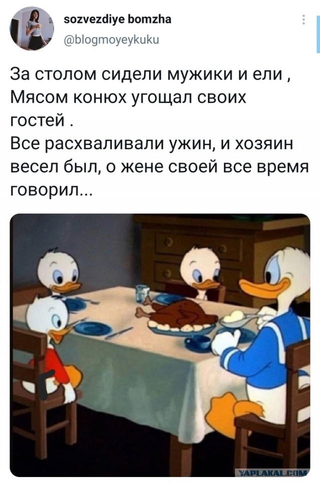 Итоги ККК № 31 "Маски/Звери" и всё такое