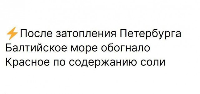 Весёлый полтишок 08.07.25