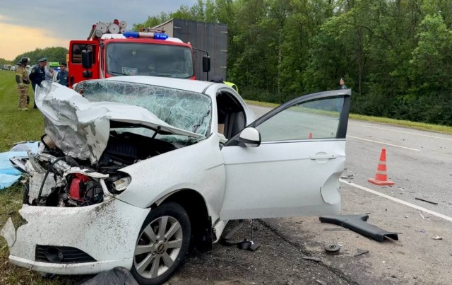 6 человек, в том числе ребенок, погибли в жутком ДТП в Пензенской области