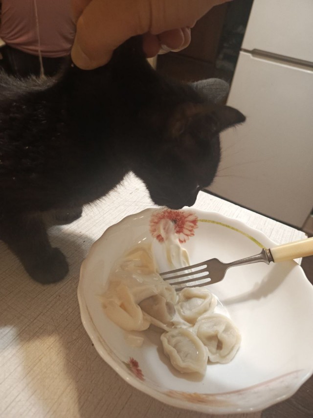 Его первый вторник