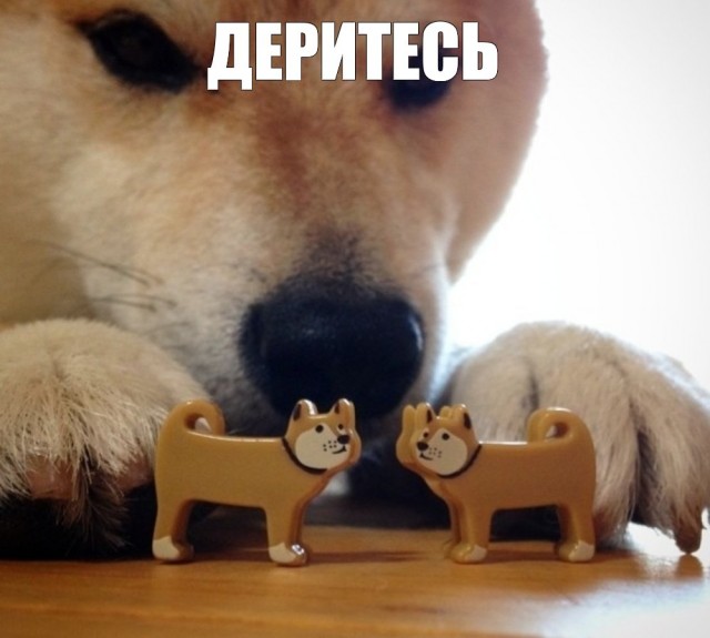 Это что такое????