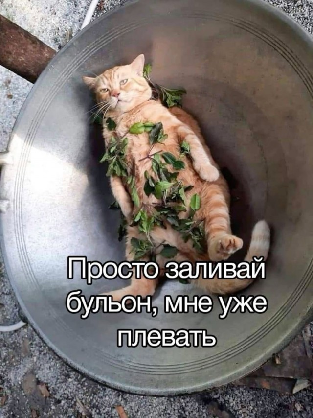 ЯПълов