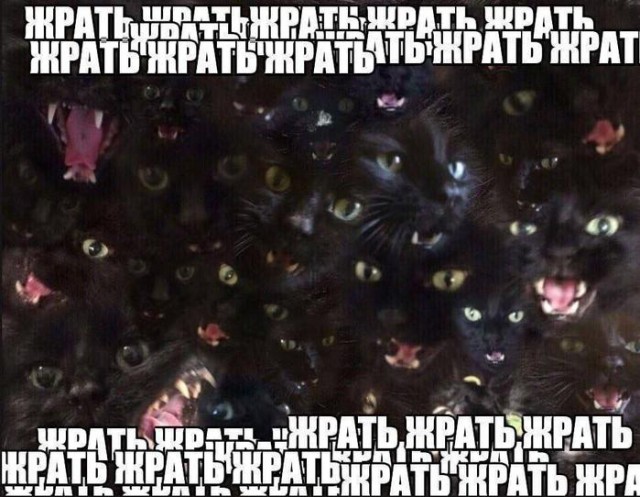 Картинки для деградации 64 (разной степени свежести)