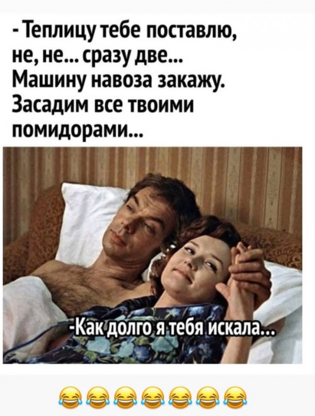 Прикольные и просто красивые картинки 17.11.2025