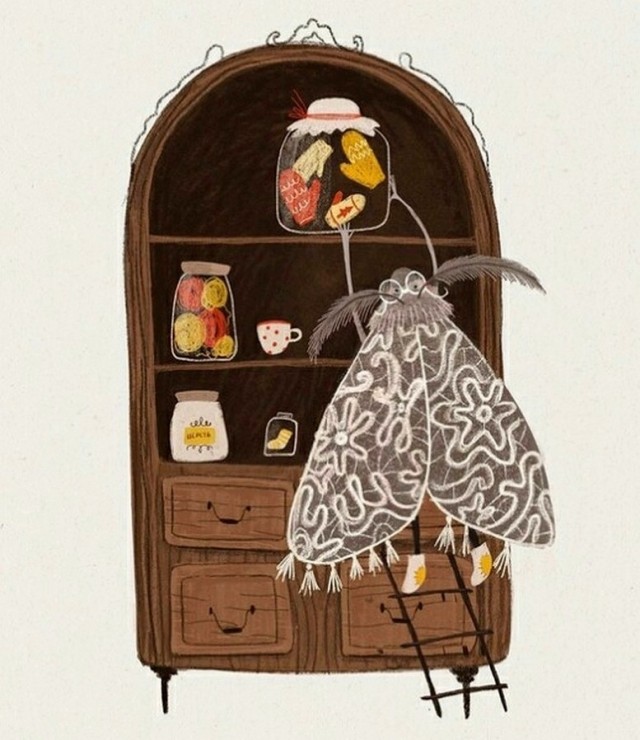 Так себе картинки 18.11.25