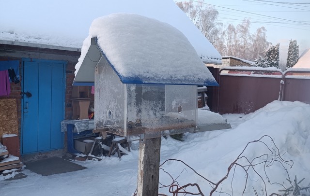 Мои маленькие гости этой зимой