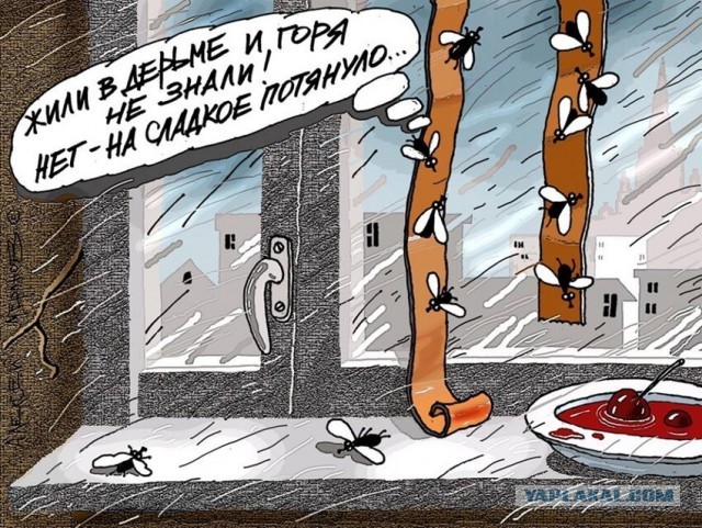 Слишком светлое будущее⁠