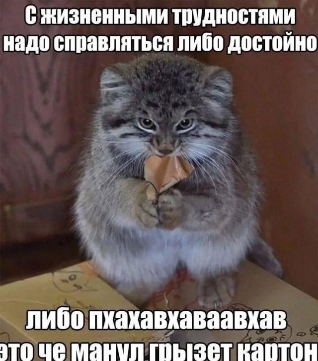 Среды картинки