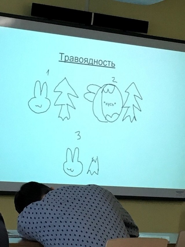 Презентация двенадцати презентаций