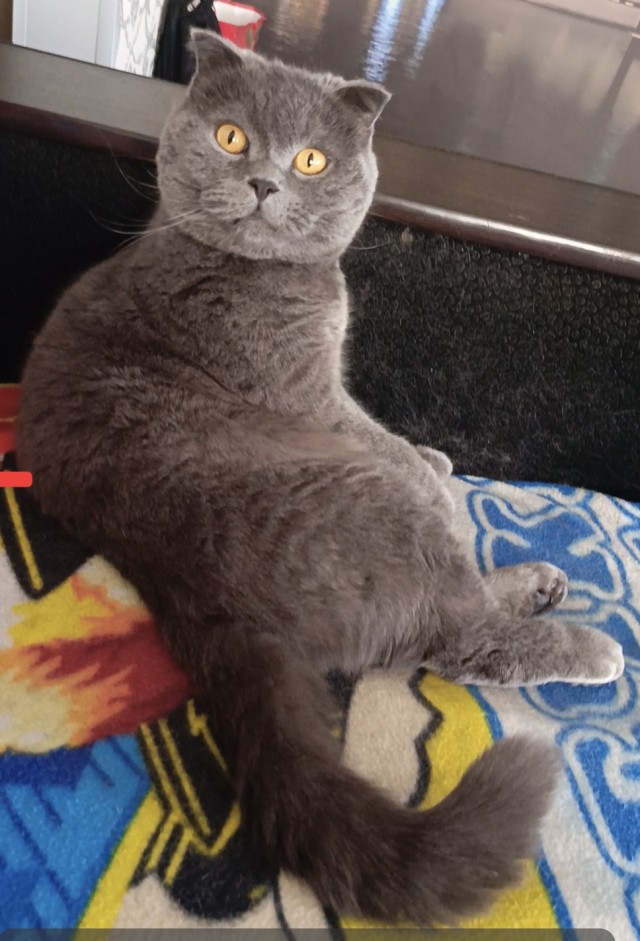 Пополнение