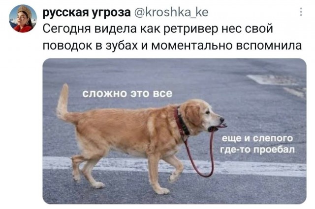 Картинки для деградации 273 (разной степени свежести)