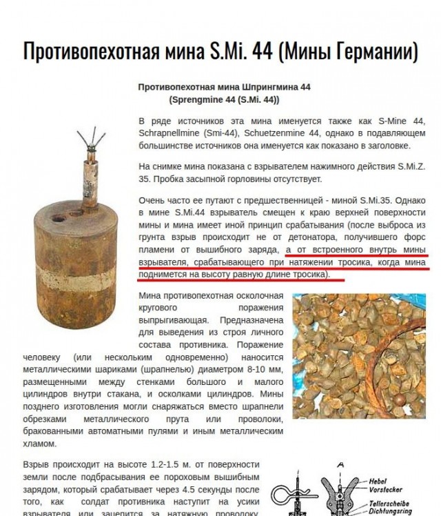 Просто по лесу прогулялся