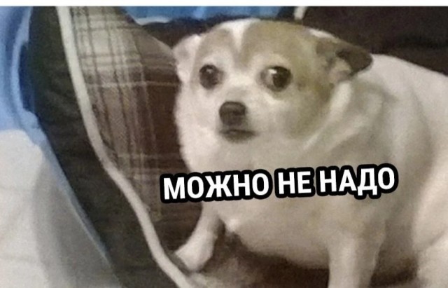 Третья мировая война неизбежна, — Вучич.