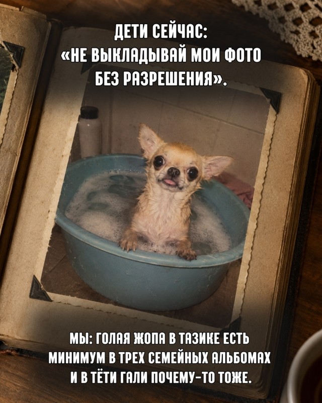 Картинки для деградации 305 (разной степени свежести)