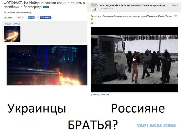 Фото дня