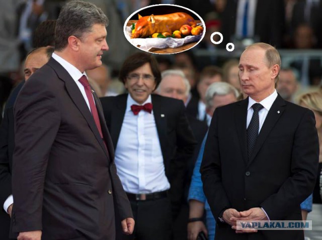 В.В.Путин Меркель о Порошенко