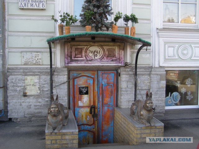 Солнечный Санкт-Петербург