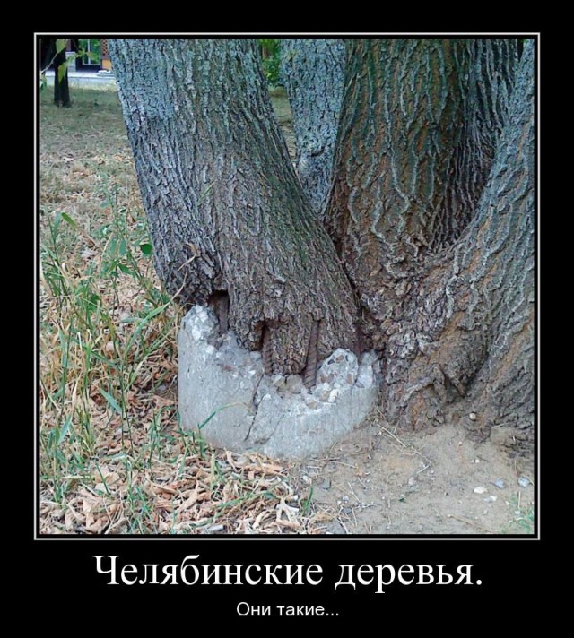 Подборка демотиваторов