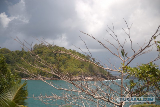 Отчет об отпуске на Сейшельских островах.